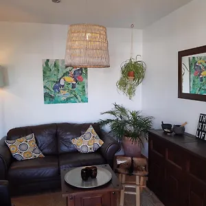 Casa Ti - Botanica Apartment